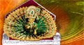 ladoo gopal,&nbsp;janmashtami with ladoo gopal,&nbsp;animated janmashtami ecards