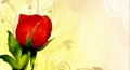 lets make up card,&nbsp;lets makeup ecard,&nbsp;lets make up greeting card
