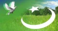 independence day card for friend,&nbsp;pakistan independence day,&nbsp;pakistan independence day cards