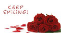 love rose cards,&nbsp;love rose ecards,&nbsp;love rose greeting cards